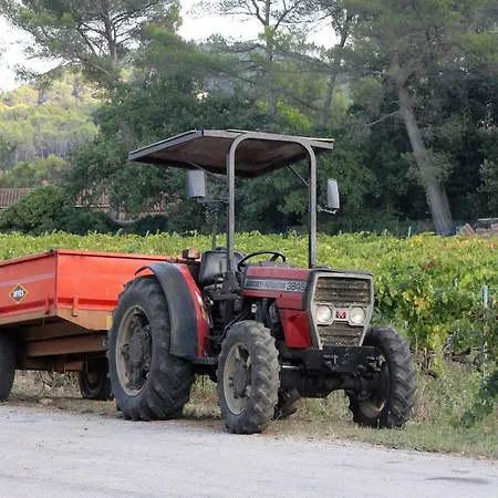 Cap Esterel Holiday Lägenhet Saint-Raphaël